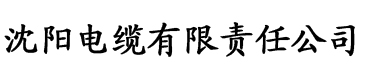 大香蕉综合在线网电缆厂logo